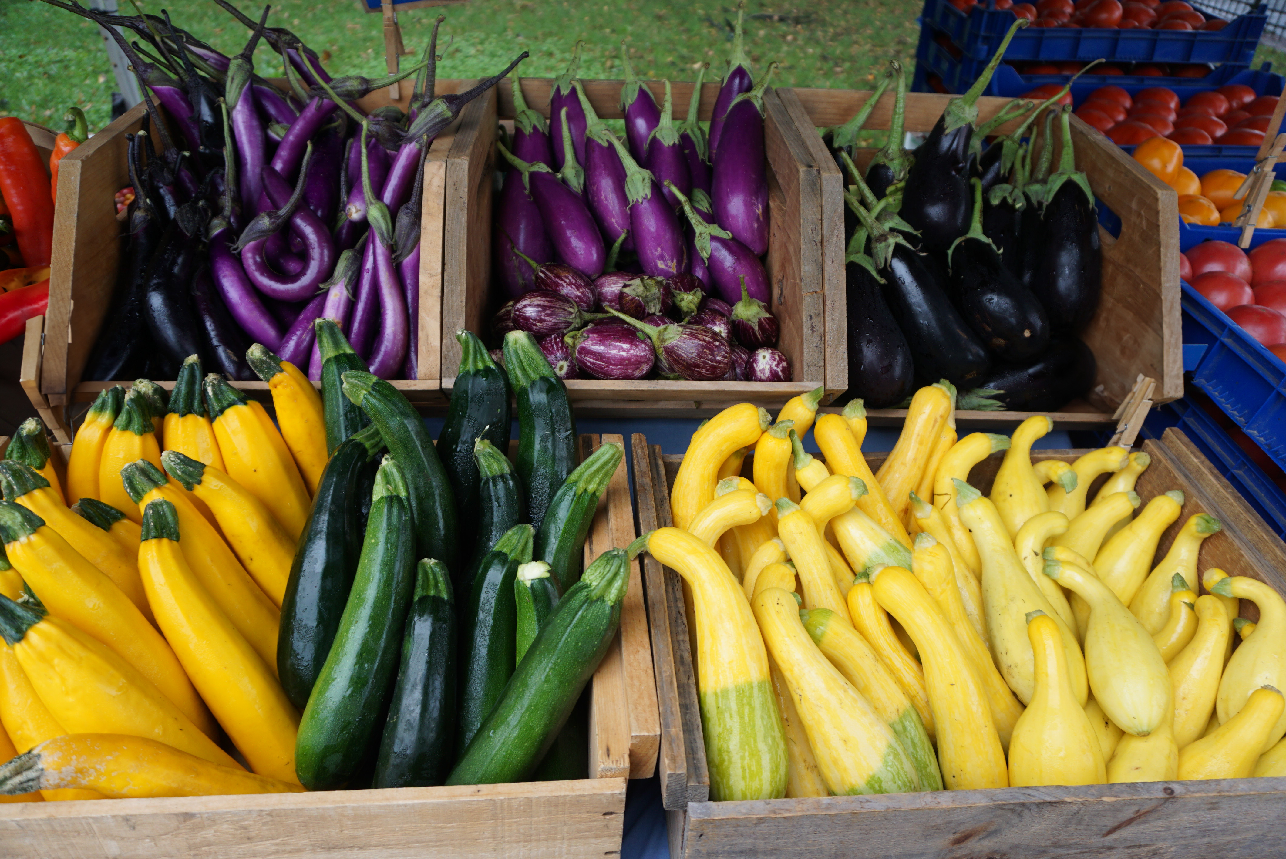 Little Light Farm photo